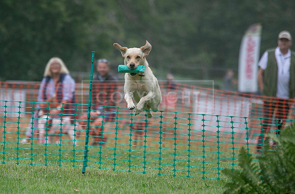 Jixenwell Scurry Challenge Final 2024-0168