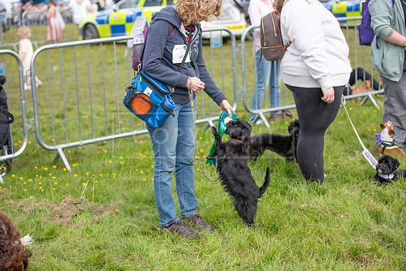 Scruffts @ Hylands Park 5th May 2024-098