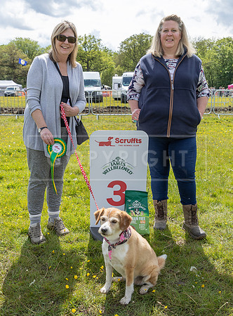 Scruffts @ Hylands Park 5th May 2024-088