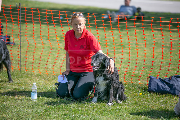 Scruffts @ Newark 27th April 2025-99