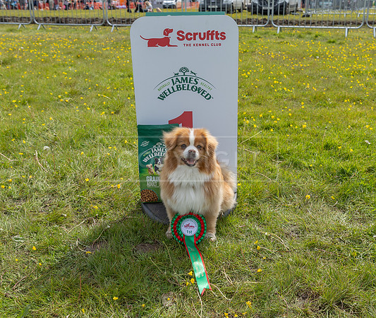 Scruffts @ Hylands Park 5th May 2024-103