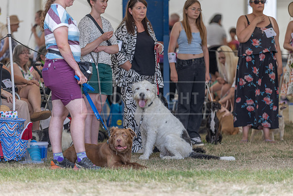 Scruffts Heat @ Windsor 29th June 2025-26
