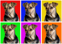 Molly Warhol