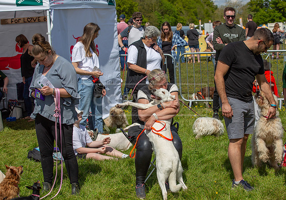 Scruffts @ Hylands Park 5th May 2024-053