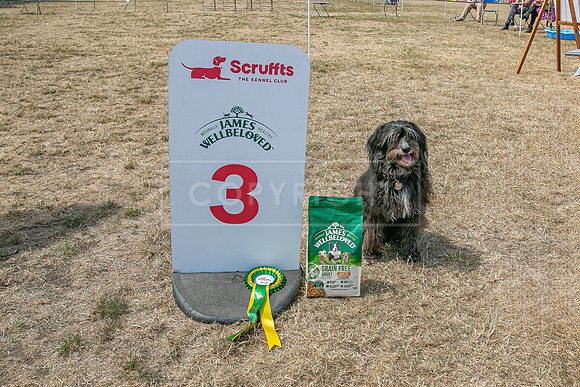 Scruffts Heat @ Windsor 29th June 2025-87