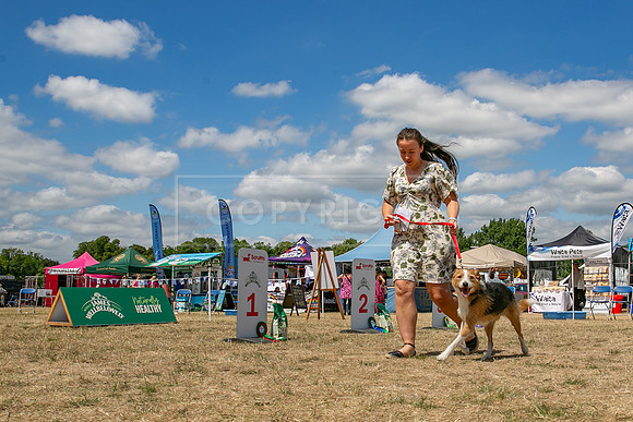 Scruffts Heat @ Windsor 29th June 2025-97