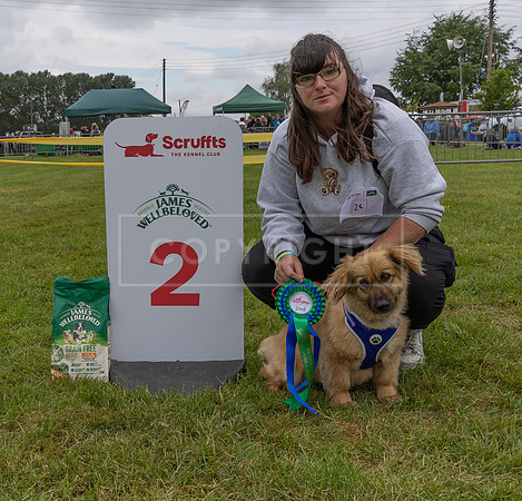 Scruffts Heat @ Shrewsbury 24th May 2025-35