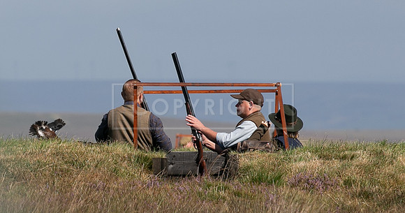 Upperwood 19th  Aug-186