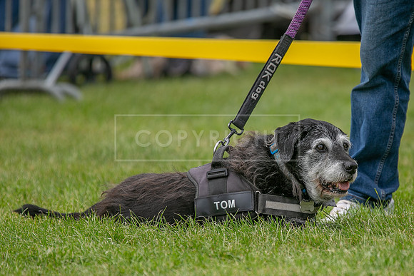 Scruffts Heat @ Shrewsbury 24th May 2025-71