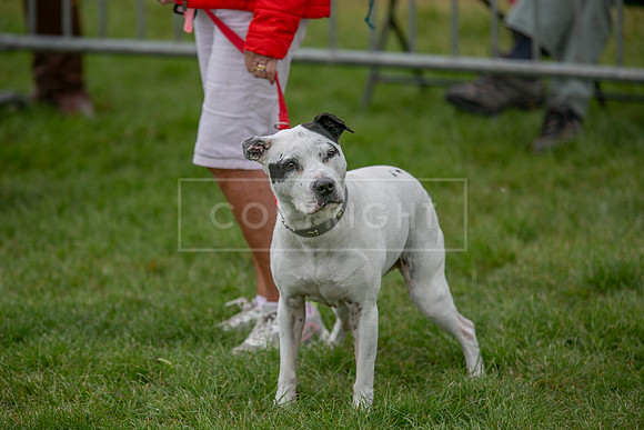 Scruffts Heat @ Shrewsbury 24th May 2025-96