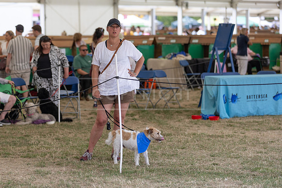 Scruffts Heat @ Windsor 29th June 2025-5
