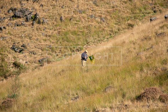 Upperwood 16th Sept 24-116