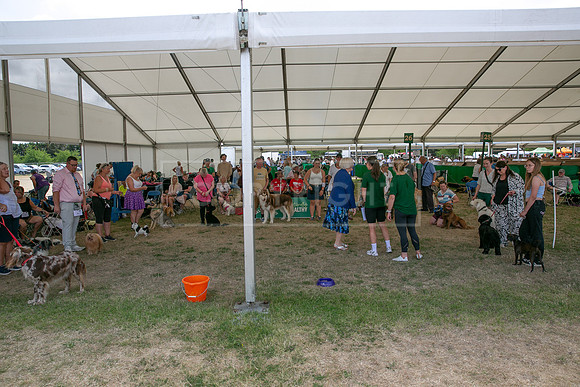 Scruffts Heat @ Windsor 29th June 2025-36