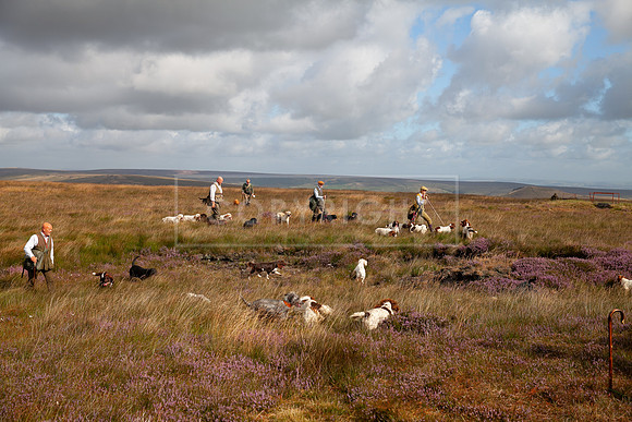 Upperwood 19th  Aug-101