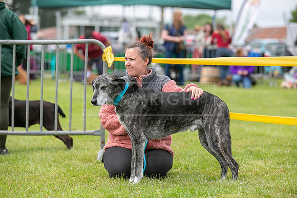 Scruffts Heat @ Shrewsbury 24th May 2025-68