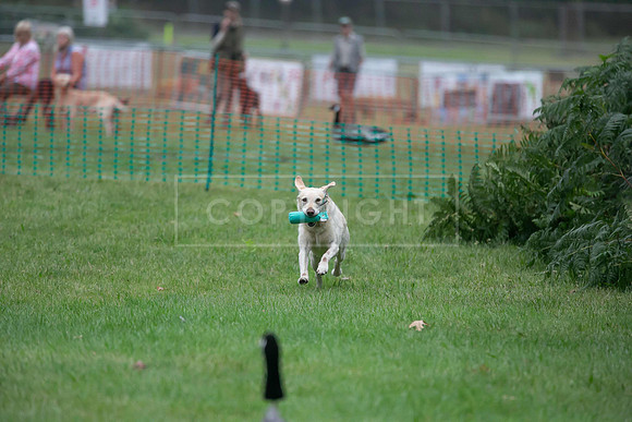 Jixenwell Scurry Challenge Final 2024-0048