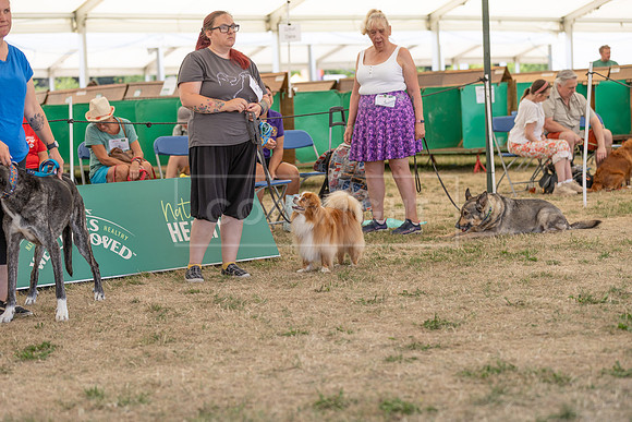 Scruffts Heat @ Windsor 29th June 2025-102