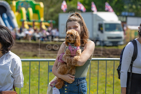Scruffts @ Hylands Park 5th May 2024-043