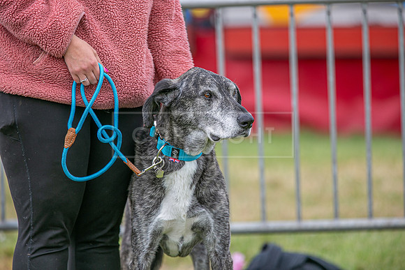 Scruffts Heat @ Shrewsbury 24th May 2025-104