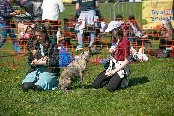 Scruffts @ Newark 27th April 2025-43