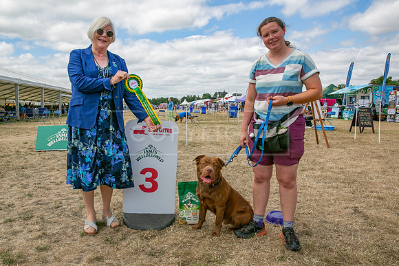 Scruffts Heat @ Windsor 29th June 2025-45