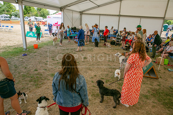Scruffts Heat @ Windsor 29th June 2025-54