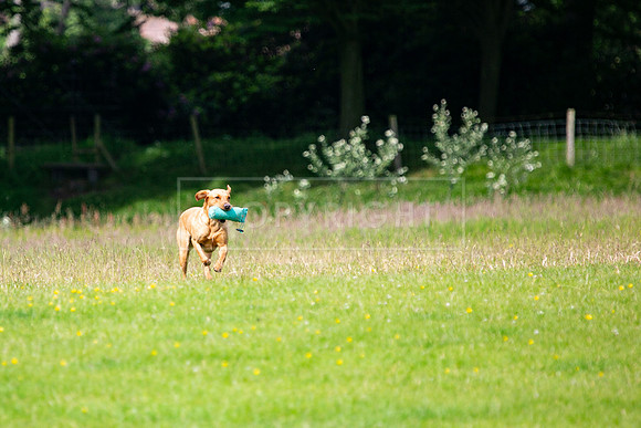Int Retriever Day 1 -034