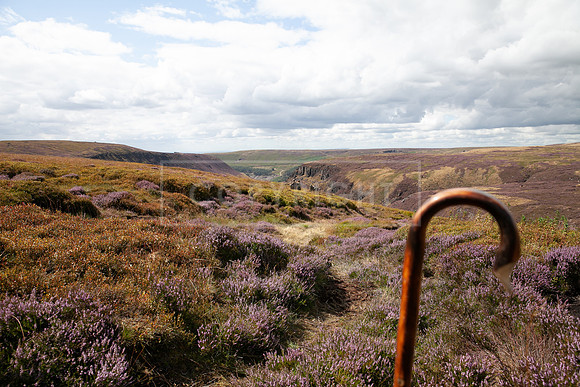Upperwood 19th  Aug-252