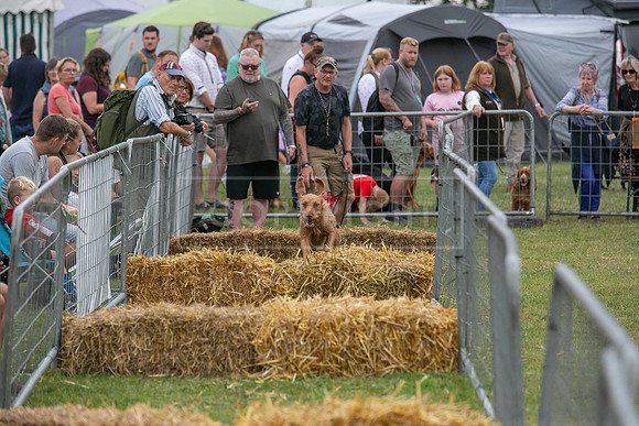Jixenwell Scurry @ Sandringham 2024-008