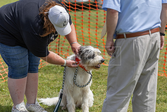 Scruffts heat @ Wadebridge 13th July 2025-142