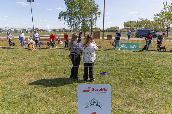 Scruffts @ Newark 27th April 2025-102