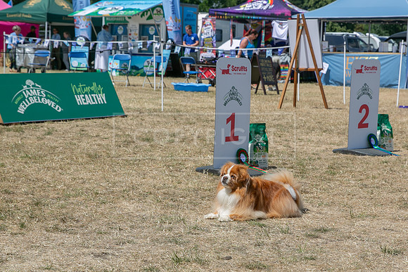 Scruffts Heat @ Windsor 29th June 2025-117