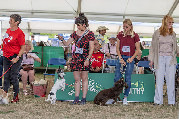 Scruffts Heat @ Windsor 29th June 2025-50