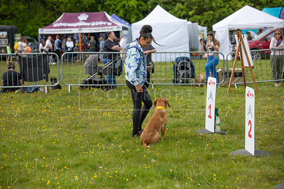 Scruffts @ Hylands Park 5th May 2024-091