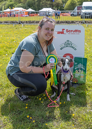 Scruffts @ Hylands Park 5th May 2024-060