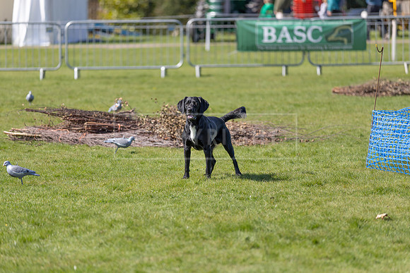 Thoresby Sun 30th Mar 25-147