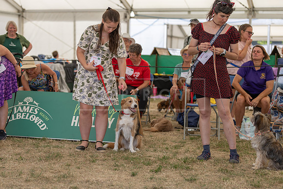 Scruffts Heat @ Windsor 29th June 2025-89