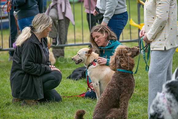 Scruffts Heat @ Shrewsbury 24th May 2025-52