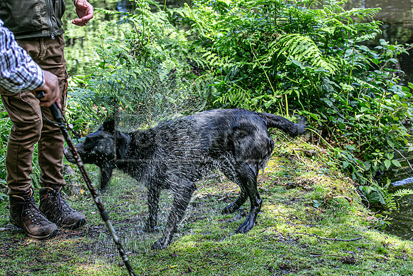 Int Retriever Day 1 -161
