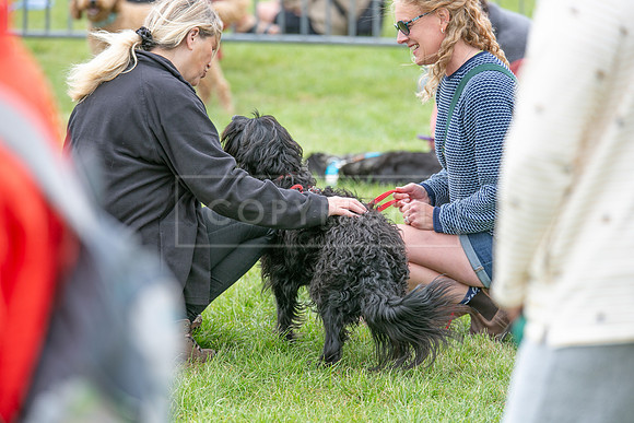 Scruffts Heat @ Shrewsbury 24th May 2025-97