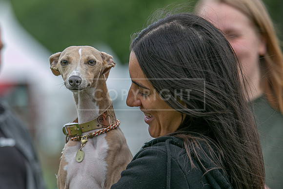 Scruffts Heat @ Shrewsbury 24th May 2025-85