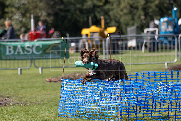 Thoresby Sun 30th Mar 25-166