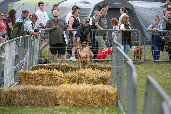 Jixenwell Scurry @ Sandringham 2024-015