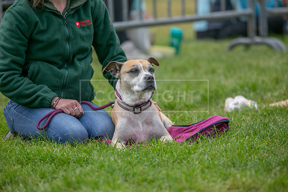 Scruffts Heat @ Shrewsbury 24th May 2025-70
