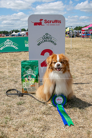 Scruffts Heat @ Windsor 29th June 2025-111