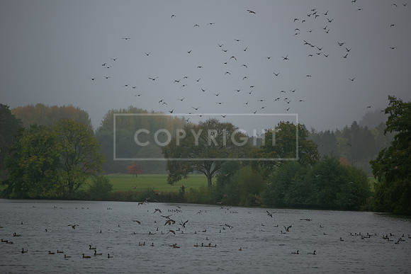 Belvoir Castle 21st Oct-022