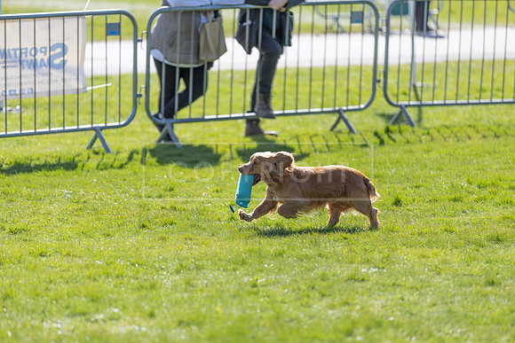 Thoresby Sun 30th Mar 25-247