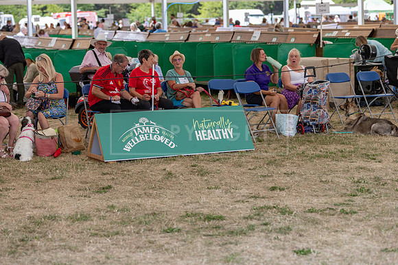 Scruffts Heat @ Windsor 29th June 2025-3